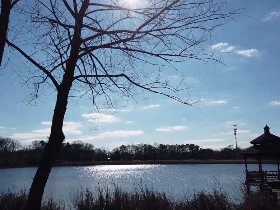 Saybrooke Community Tour Pasadena MD James Bowerman Realtor Real Creative Group