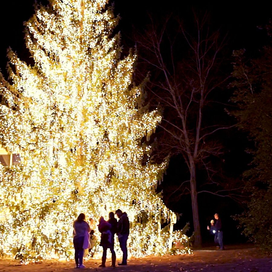 Best Christmas Lights Pasadena Maryland Realtor James Bowerman Real Estate Agent Real Creative Group MD
