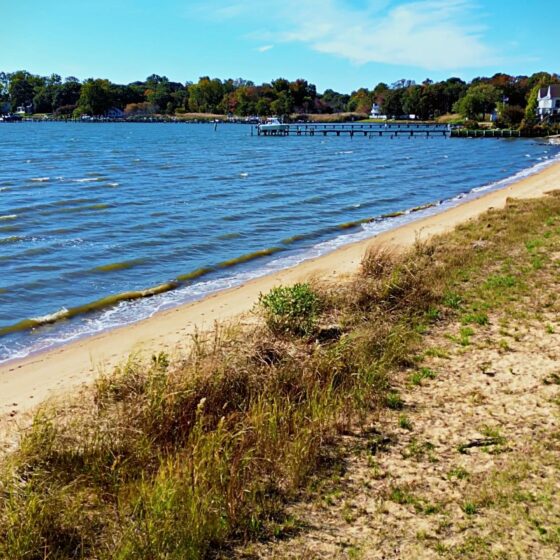 Sillery Bay Community Tour Pasadena Maryland Realtor James Bowerman Real Estate Agent Real Creative Group MD